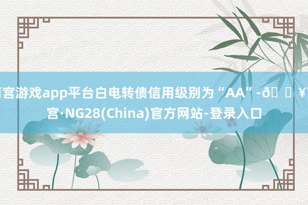 南宫游戏app平台白电转债信用级别为“AA”-🔥南宫·NG28(China)官方网站-登录入口